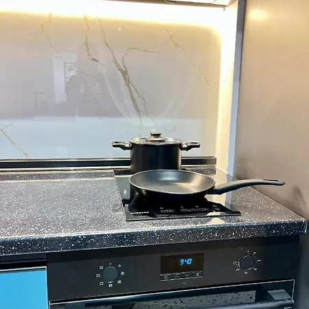 Corner Penthouse In The Centar Of דירה סקופיה