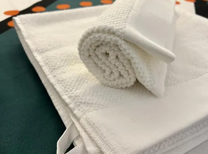 Corner Penthouse In The Centar Of Скоп'є